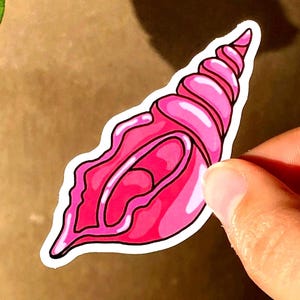 Autocollant Coquillage Rose, Autocollant Coquille, Autocollants de Ocean, Autocollant Marin, Fan de Ocean, Autocollant Coloré, Rose, Mauve