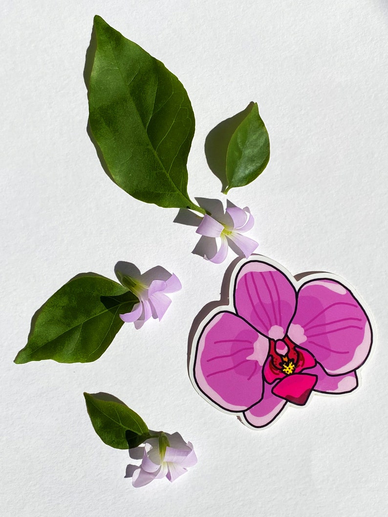 Orchid Sticker Pink Orchid Sticker, Tropical Flower Sticker, Vinyl Sticker, Colorful ...