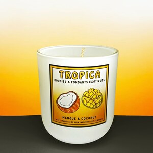 Mango & Coconut | Exotic Candle | Tropica | Soy Candle | Fruity Candle | Candle |  Scented Candle | Tropical Candle | Handmade | Gift Idea