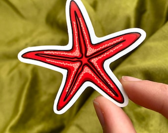 Zeestersticker, oceaansticker, zeebodemsticker, tropische sticker, kleurrijke sticker, oceaanwaaier, tropische decoratie