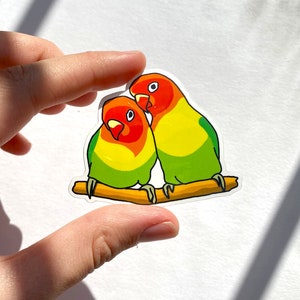 Adesivo pappagallo inseparabile, adesivi di animali carini, adesivo in vinile, adesivo colorato, uccelli tropicali, regali