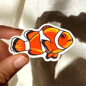Autocollant Poisson Clown, Autocollant Animal, Autocollants de Poisson, Autocollant Nemo, Fan de Poisson, Autocollant, Nemo, Amphiprioninae