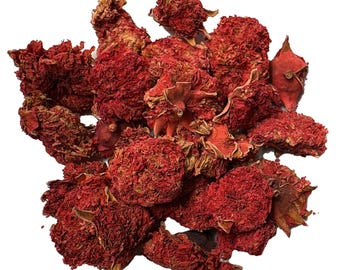 Pomegranate Flower 2 oz - Dried All Natural No Preservatives - Herbal Tea
