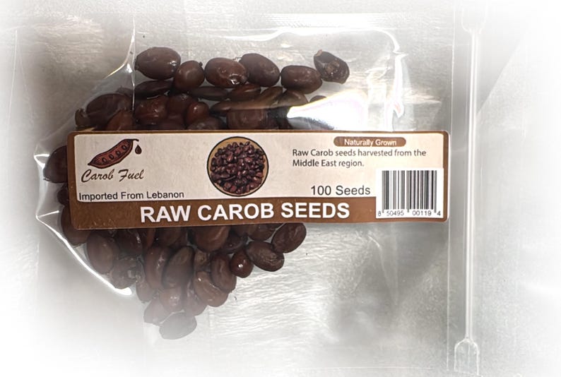 Carob Fuel – Raw Carob Seeds – 100 Seeds - Imported From Lebanon - Etsy
