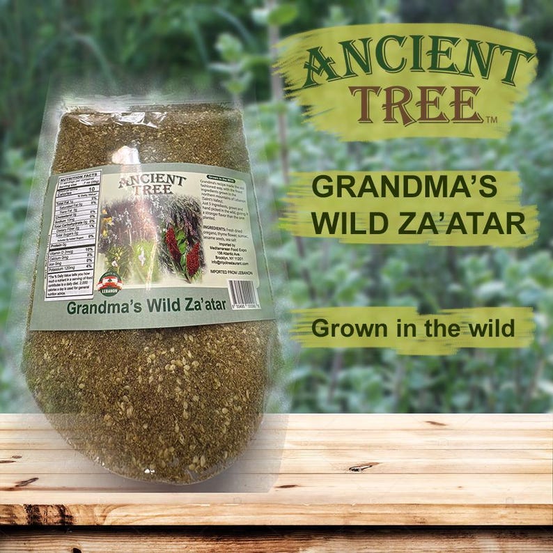 Zaatar Tree Ancient Tree Grandma's Wild Za'atar, Middle Eastern Zaatar Powder ...