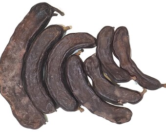 Fresh Raw Carob Pods Whole/Seeds 8 oz - Imported from Lebanon - LIMTED TIME