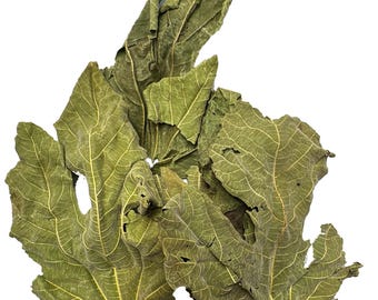 Ancient Tree Mediterranean Dried Fig leaves 1 oz Imported from Lebanon