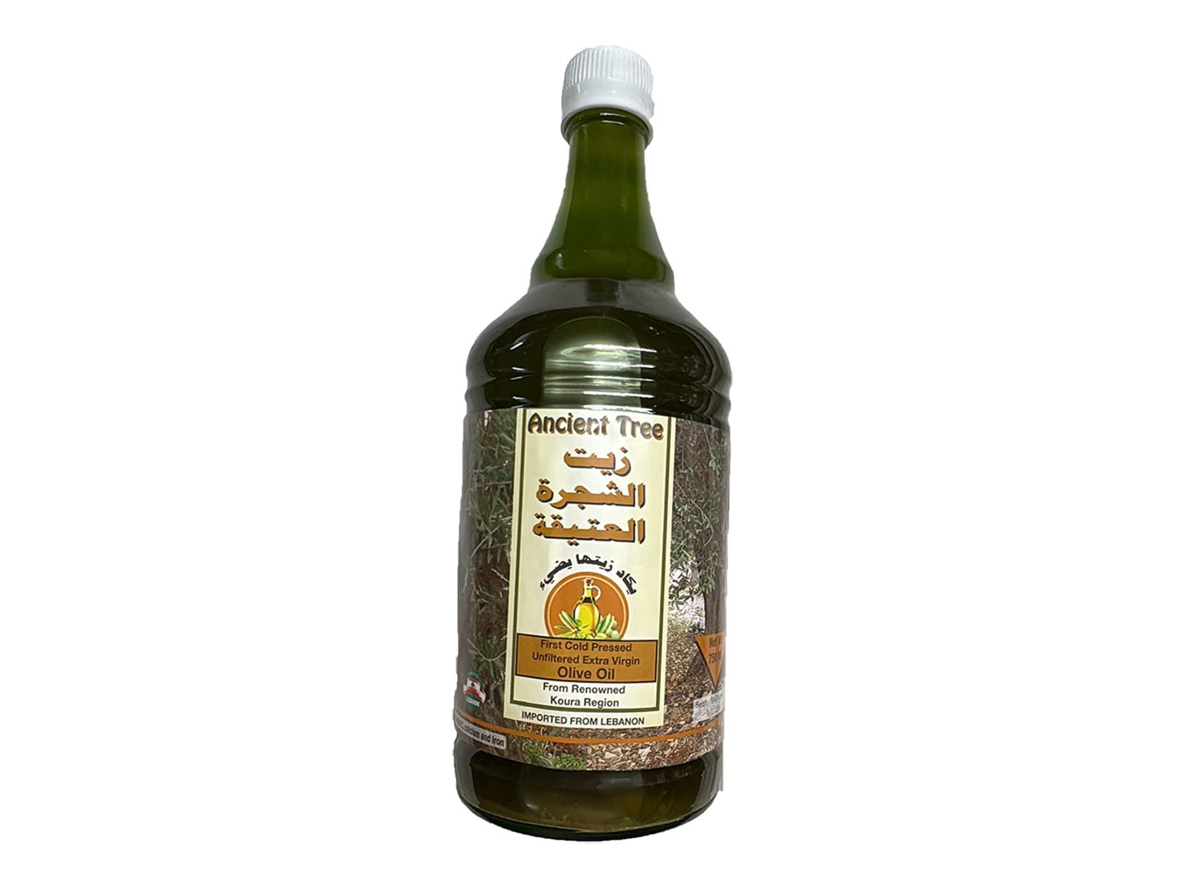 Olio Santo Di Unzione Cedro Del Libano – 100 Ml Da Gerusalemme – Bottiglia 3.4 Fl Oz