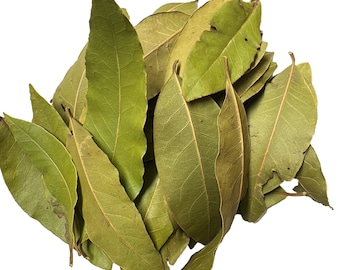 Lebanese Bay Leaves - Waraq Ghar (ورق غار) - 1 oz. Imported from Lebanon