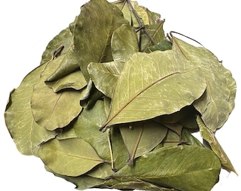 Ancient Tree Dried Carob Leaves, Herbal Tea 1.5 oz Imported from Lebanon