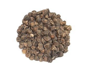 Ancient Tree Moringa Oleifera Seeds 4 oz - Imported from Lebanon