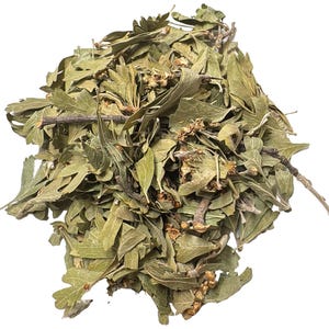 Puede incluir: Un montón de hojas secas y ramitas pequeñas, principalmente de color verde claro. Las hojas muestran una superficie texturizada y variaciones en los tonos verdes, con algunas áreas que muestran tonos marrones. La imagen es una toma de primer plano sobre un fondo blanco.