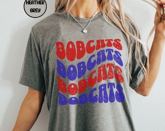 custom Team school mascot shirt, Personalized school football tee, game day shirt, custom game day sport shirt, custom school spirit