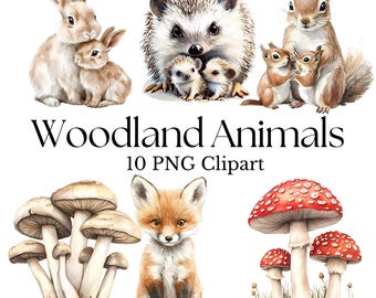 Watercolor Woodland Animals Clipart, Nursery Art (PNGs)