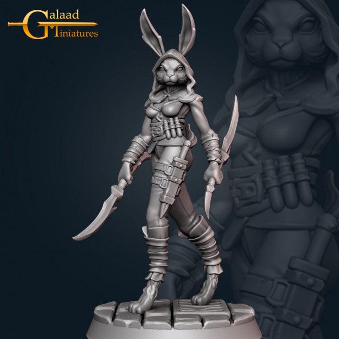 Sofia Shadowpaw, Female Rabbitfolk Assassin - Etsy