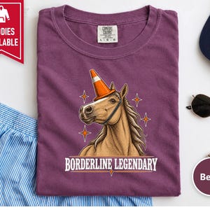 Funny Horse Shirt, Borderline Legendary Tee, Traffic Cone Unicorn Graphic, Horse Lover Gift, Equestrian Humor Top image 7