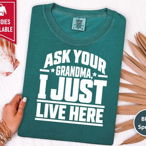 Funny Grandma Shirt, Grandma Gift Idea, Sarcastic Saying Tee, Grandkids Gift, Funny Grandma Tee image 6