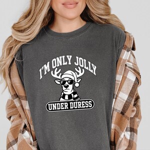 Funny Holiday Shirt, Sarcastic Christmas Sweatshirt, Funny Reindeer Tee, Sarcastic Holiday Gift, Funny Christmas Shirt