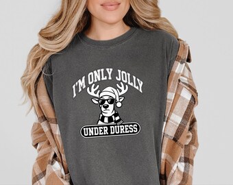 Funny Holiday Shirt, Sarcastic Christmas Sweatshirt, Funny Reindeer Tee, Sarcastic Holiday Gift, Funny Christmas Shirt