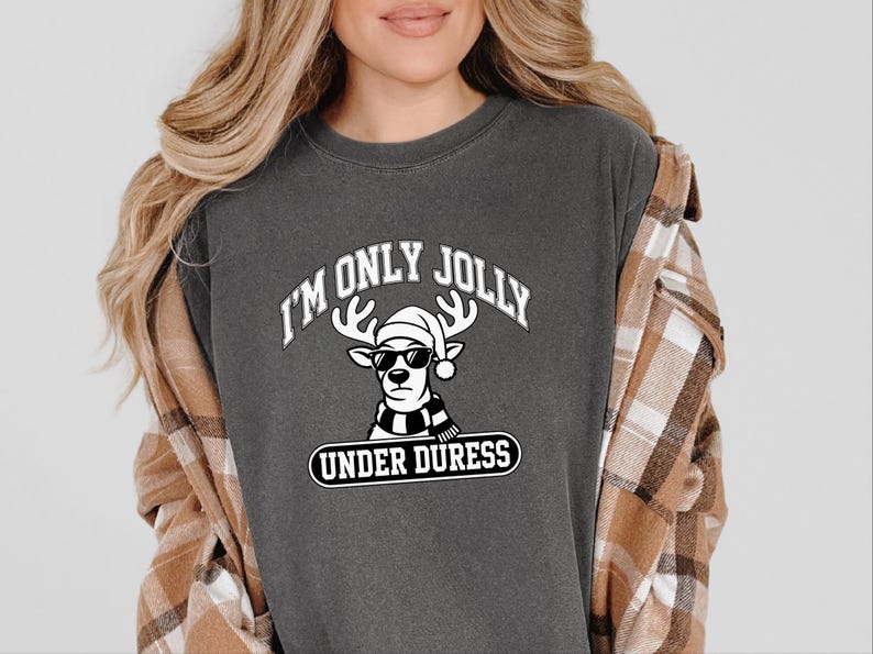 Funny Holiday Shirt, Sarcastic Christmas Sweatshirt, Funny Reindeer Tee, Sarcastic Holiday Gift, Funny Christmas Shirt image 1