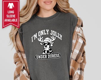 Funny Holiday Shirt, Sarcastic Christmas Sweatshirt, Funny Reindeer Tee, Sarcastic Holiday Gift, Funny Christmas Shirt