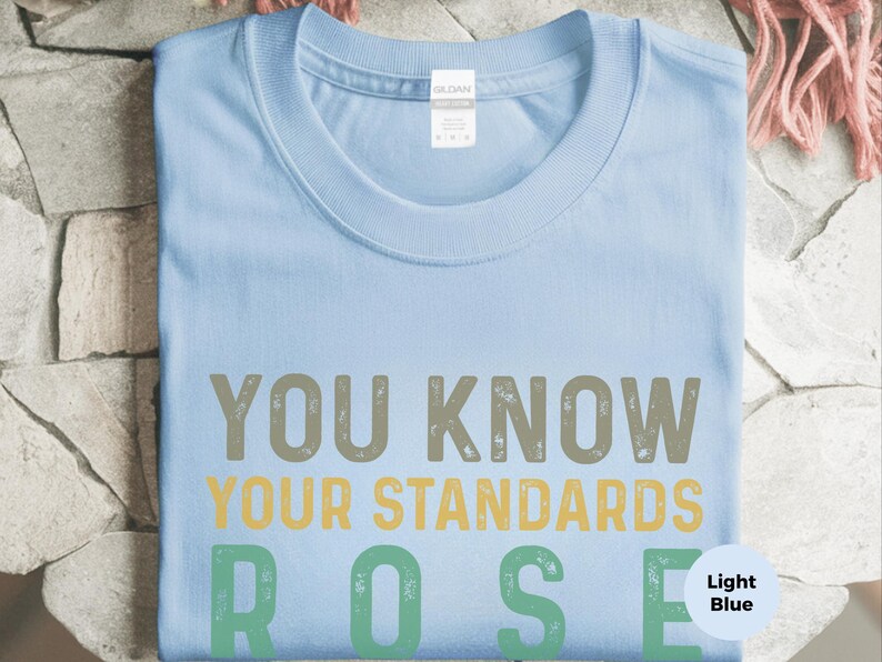 High Standards Shirt, Sarcastic Quote Tee, Retro Typography Top, Witty Breakup Gift, Sassy Humor Tee, Bold Statement Apparel imagen 6