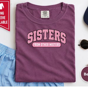 Matching Best Friend Shirt, Sisters From Other Misters Gift, Besties Matching Tee, Soul Sister Shirt image 4
