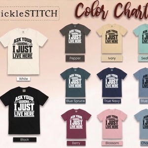 Funny Grandma Shirt, Grandma Gift Idea, Sarcastic Saying Tee, Grandkids Gift, Funny Grandma Tee image 2