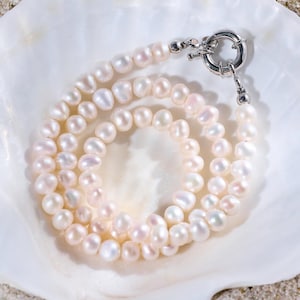 Puede incluir: Un delicado collar de perlas con un cierre plateado descansa dentro de una concha blanca. Las perlas son de un blanco cremoso suave con sutiles tonos rosados e iridiscentes. El collar se exhibe sobre una superficie arenosa.
