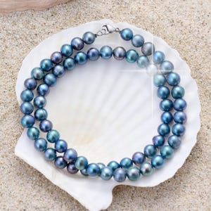Puede incluir: Un collar de doble hebra con perlas redondas de color azul oscuro iridiscente y brillo metálico. El collar se asegura con un cierre de langosta de metal plateado, creando una disposición circular de cuentas uniformes.