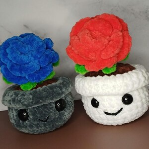 Mini Potted Flowers, Sunflower, Rose, Daisy, Daffodil. Colourful mini Flowers