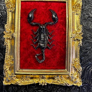 giant scorpion