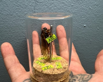 Dried Cicada on a Pole