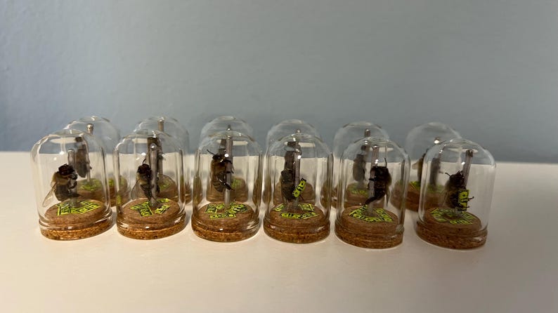 May include: A collection of miniature glass bell jars, each containing a small, detailed figure on a cork base. The figures appear to be insects or small creatures, with green and yellow accents. The jars are arranged in a row.
