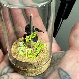 stripper carpenter bee (XL)
