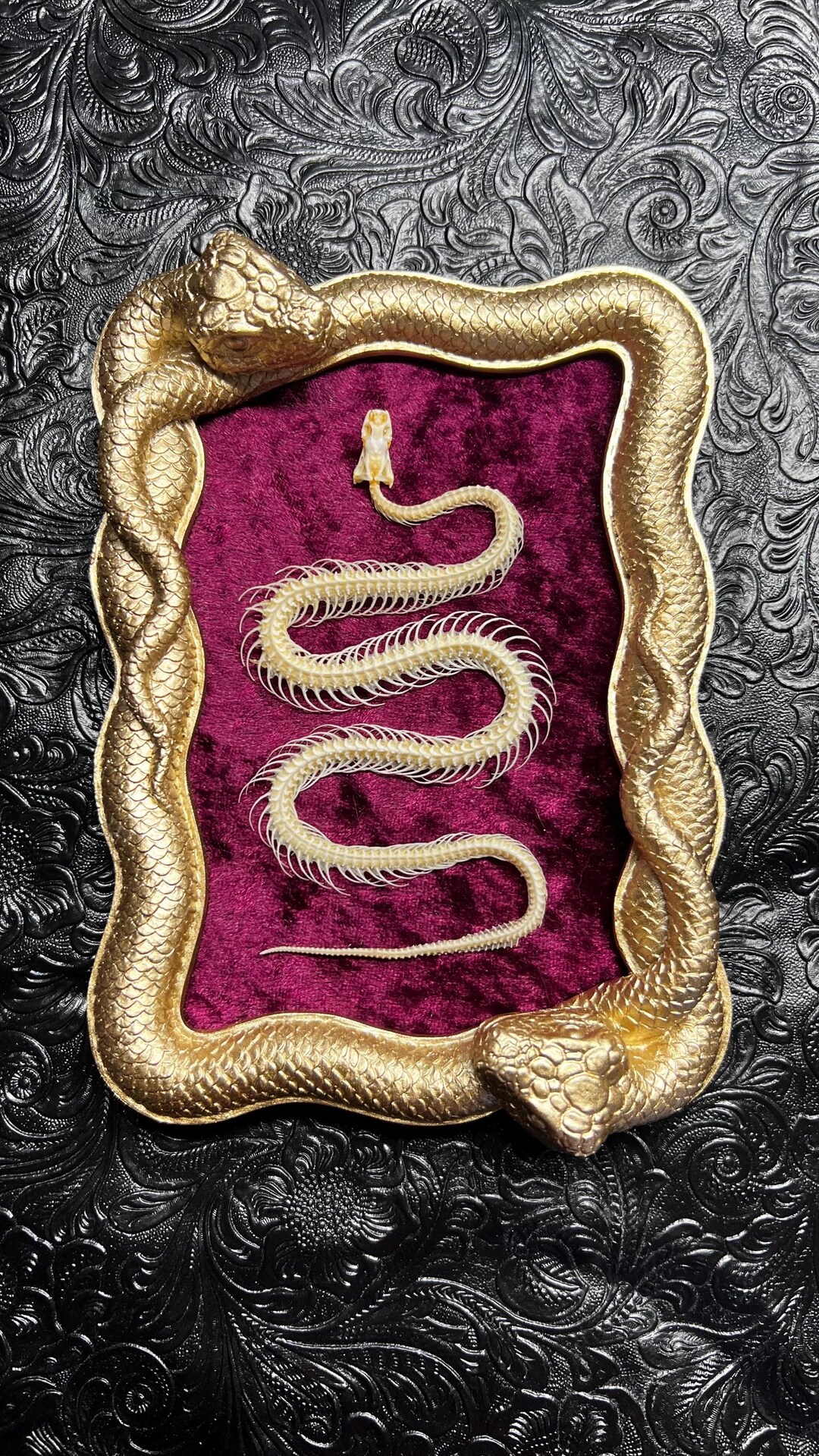 Snake Photo Frame Snake Skeleton (golden Snakes Frame) - Etsy