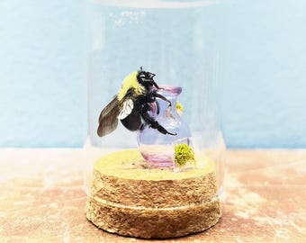 420 bees (purple bong)