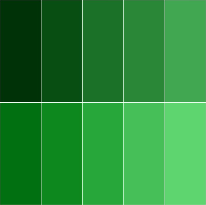 Dark Green Full Solid Colour Block Digital Paper Color Rainbow