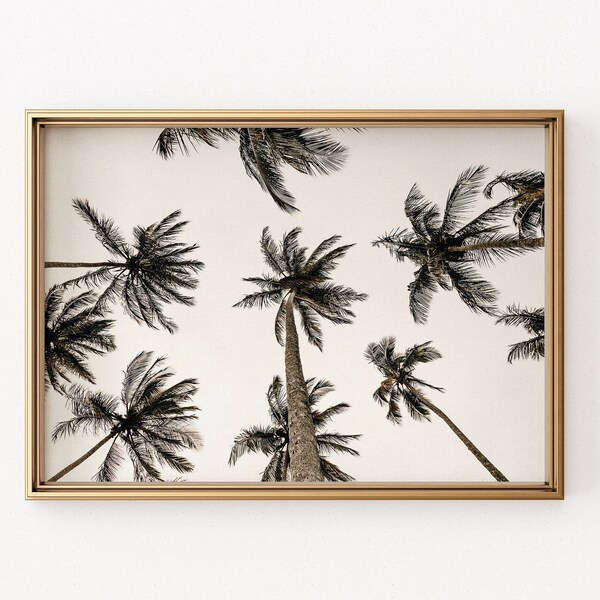 Black White Palm Trees Wall Art Set California Beach Decor Palm Trees Print Palm Photography Boho Summer Photo Digital Modern Palm Tree Art