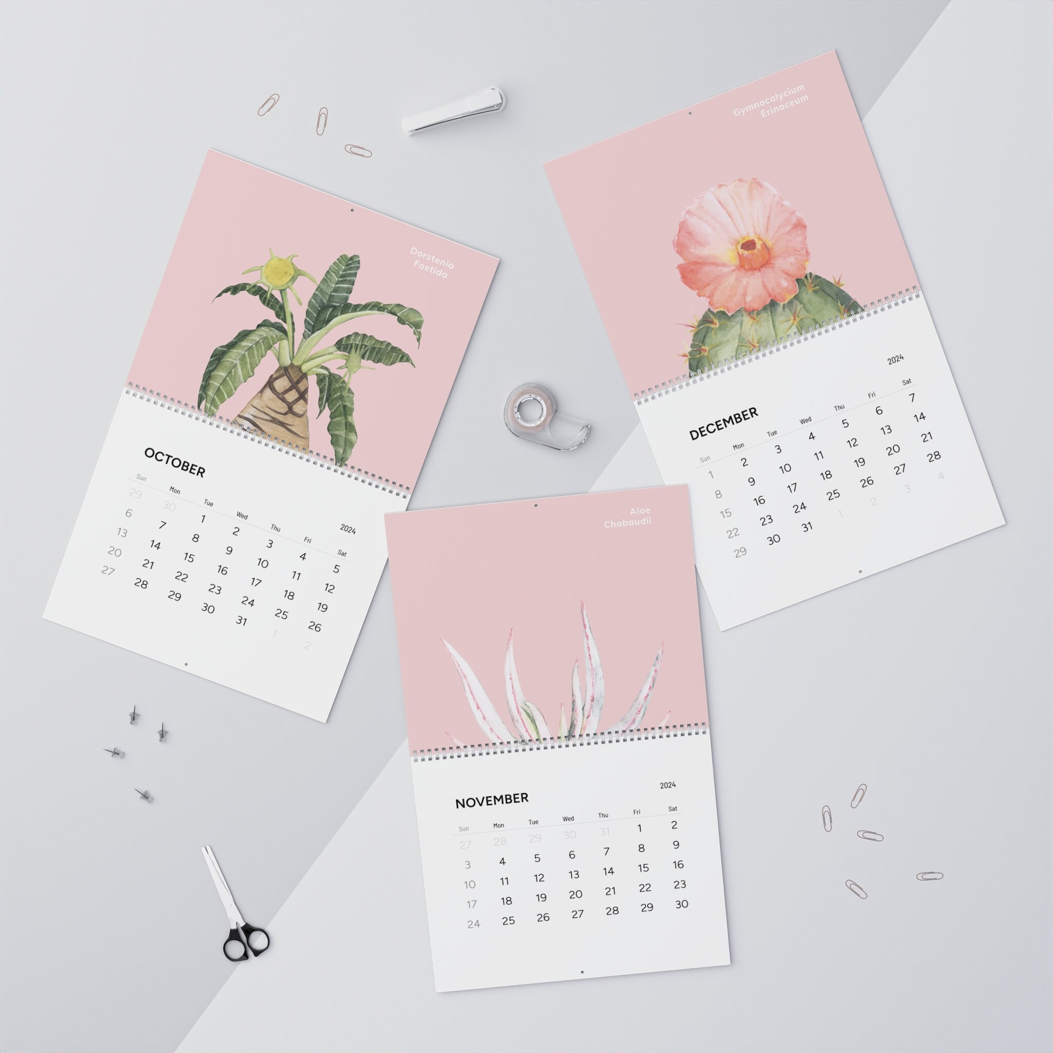 Watercolor Cacti 2024 Calendar, Plant Lover Calendar, Crazy Plant Lady