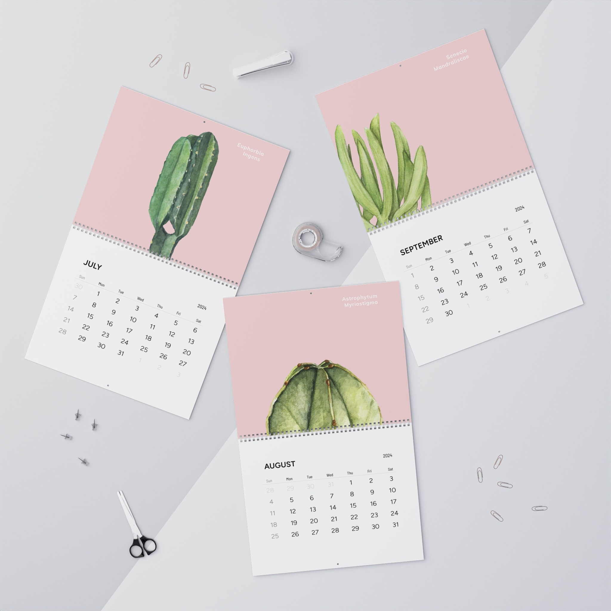 Watercolor Cacti 2024 Calendar, Plant Lover Calendar, Crazy Plant Lady