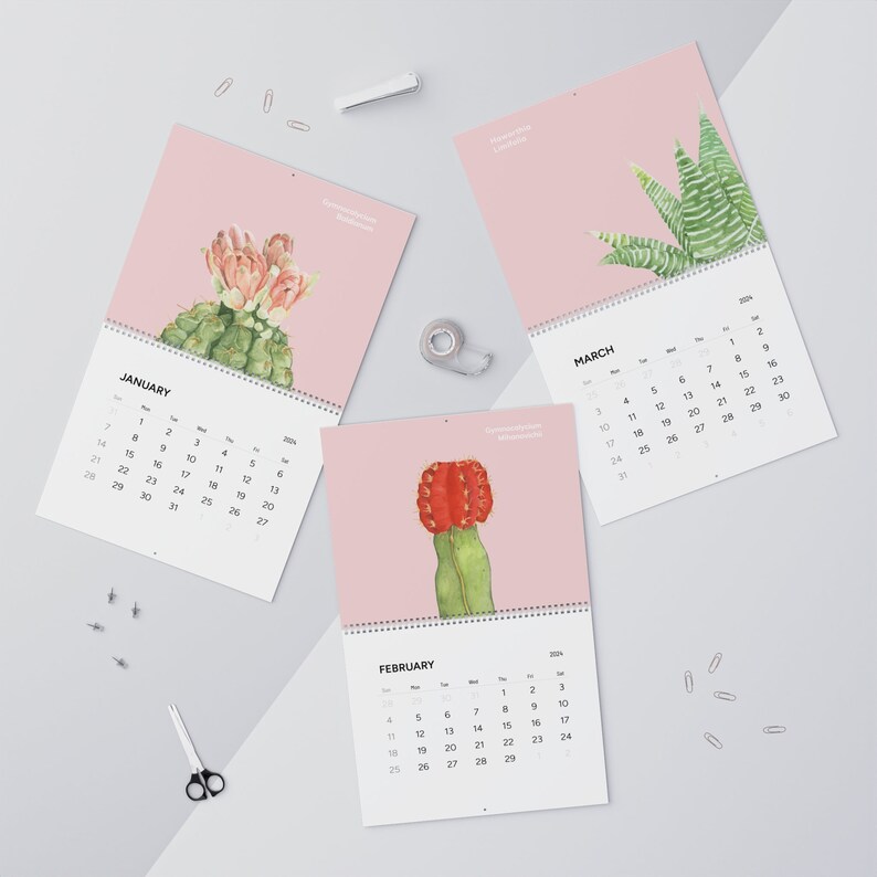 Watercolor Cacti 2024 Calendar, Plant Lover Calendar, Crazy Plant Lady