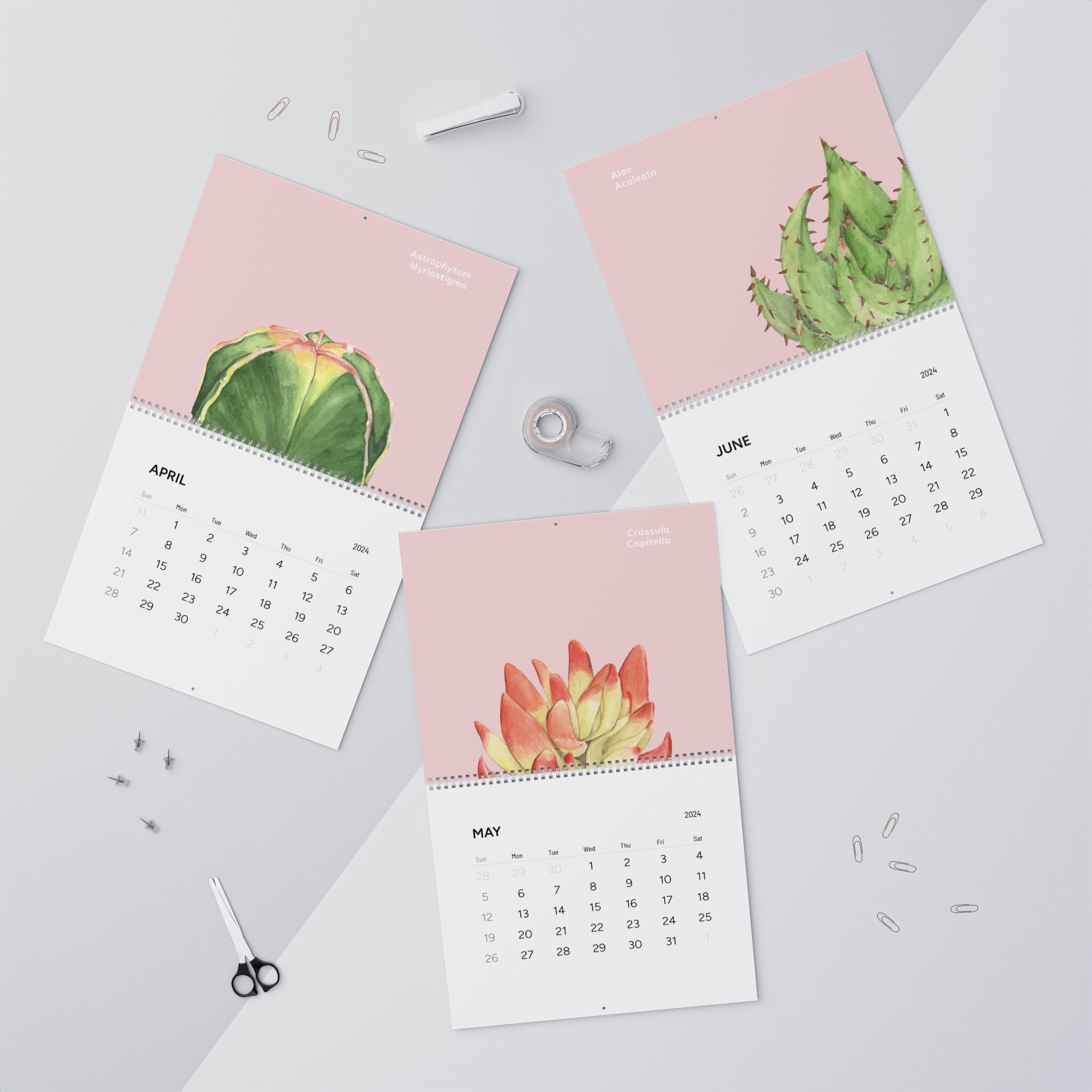 Watercolor Cacti 2025 Calendar, Plant Lover Calendar, Crazy Plant Lady