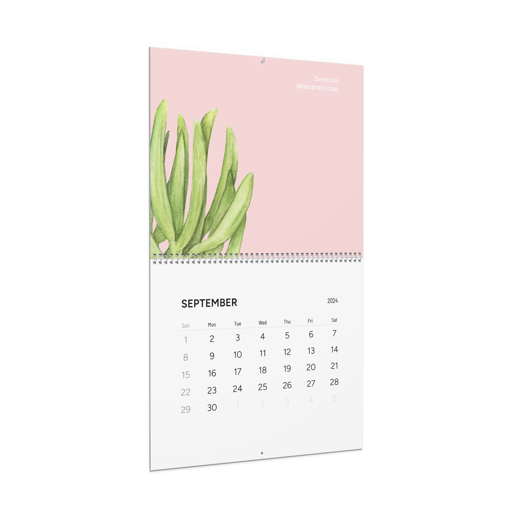 Watercolor Cacti 2024 Calendar, Plant Lover Calendar, Crazy Plant Lady