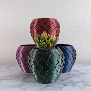 May include: Three decorative plant pots, one burgundy, one dark blue, and one dark green, with a small succulent plant in the green pot.