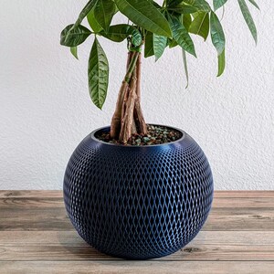 May include: A dark blue, round planter with a geometric pattern, holding a green leafy plant with a brown trunk.