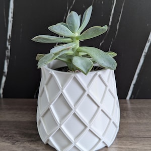 May include: A white ceramic planter with a diamond pattern design, featuring a succulent plant with green leaves.