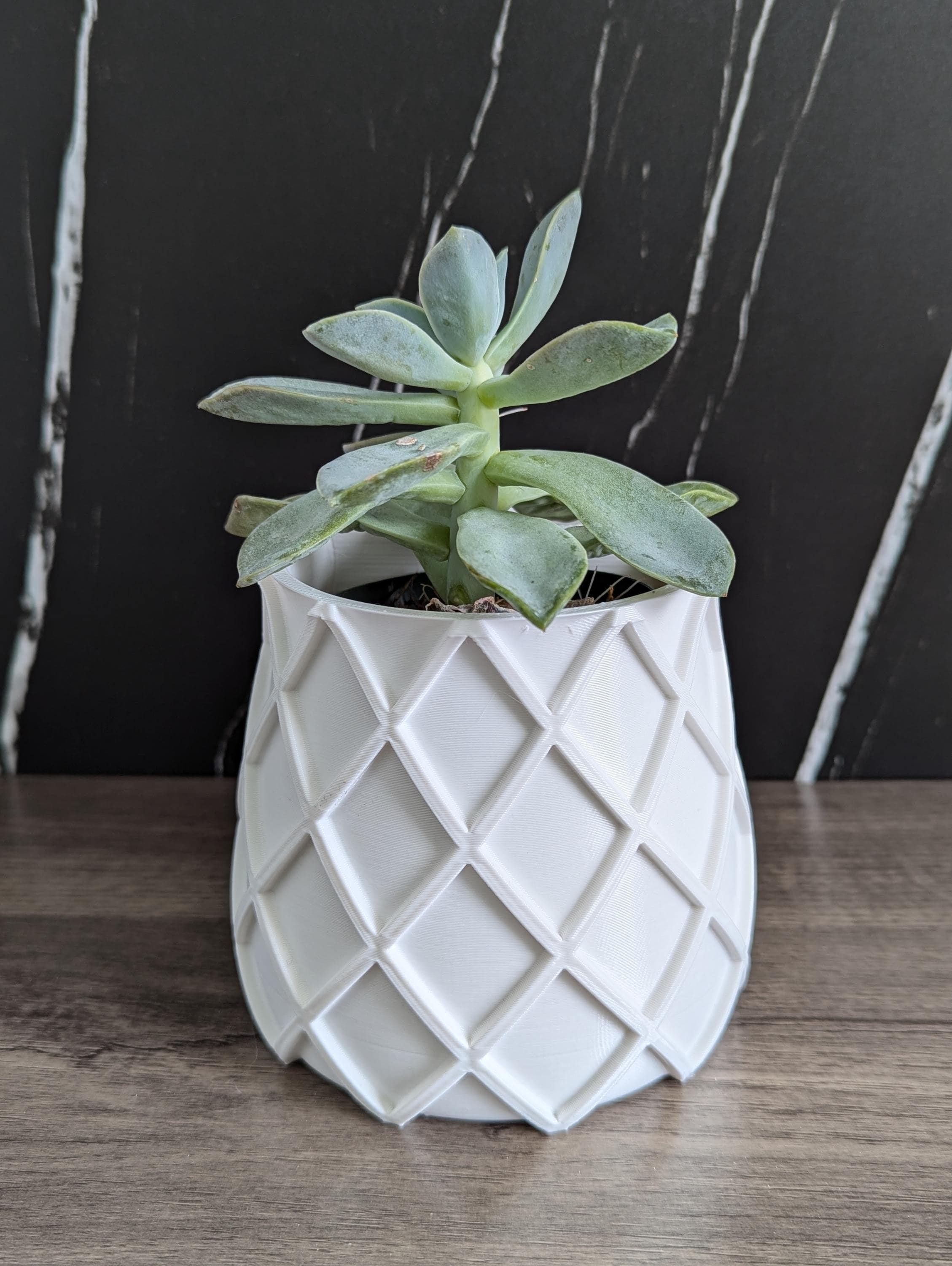 Self-Watering Indoor Planter Pot, 3D Printed with a Stylish Cross Hatch Pattern