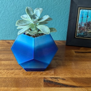 May include: A blue geometric planter with a succulent plant inside. The planter is made of a smooth, shiny material and has a hexagonal shape. The succulent plant has light green leaves.