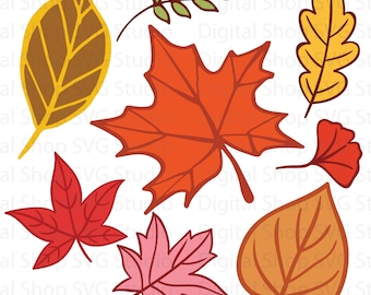 Fall Leaves SVG Bundle, Cricut Silhouette Cut Files (Digital Download)
